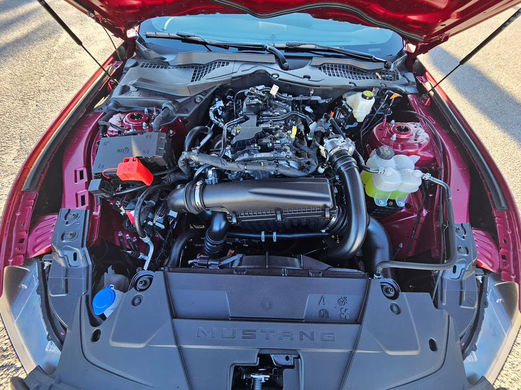 2026 Molten Magenta Metallic Tinted Clearcoat Ford Mustang EcoBoost Premium RWD Coupe