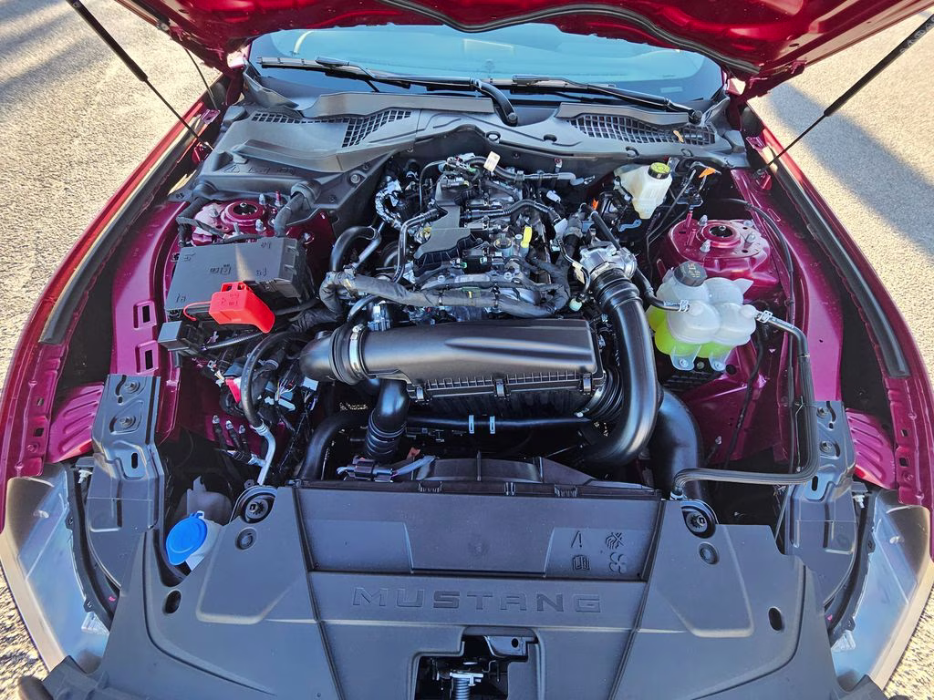 2026 Molten Magenta Metallic Tinted Clearcoat Ford Mustang EcoBoost Premium RWD Coupe