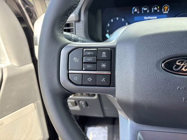 2025 Agate Black Metallic Ford F-150 XLT 4X4 Truck
