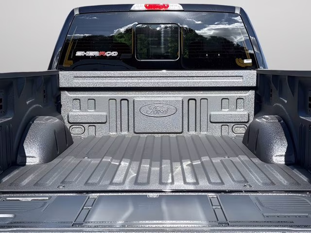 2025 Agate Black Metallic Ford F-150 XLT 4X4 Truck