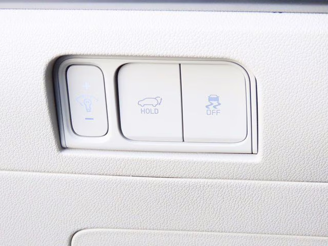 2026 Panthera Metal Kia Sorento X-Line EX AWD SUV