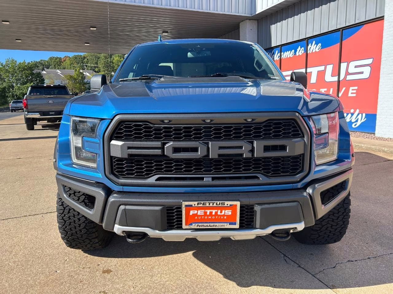 2019 Velocity Blue Metallic Ford F-150 Raptor 4X4 Truck
