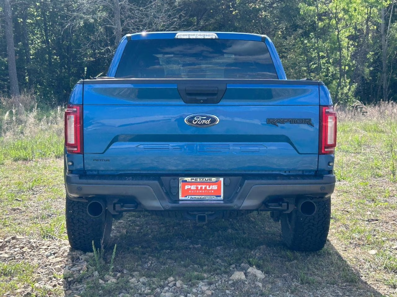 2019 Velocity Blue Metallic Ford F-150 Raptor 4X4 Truck