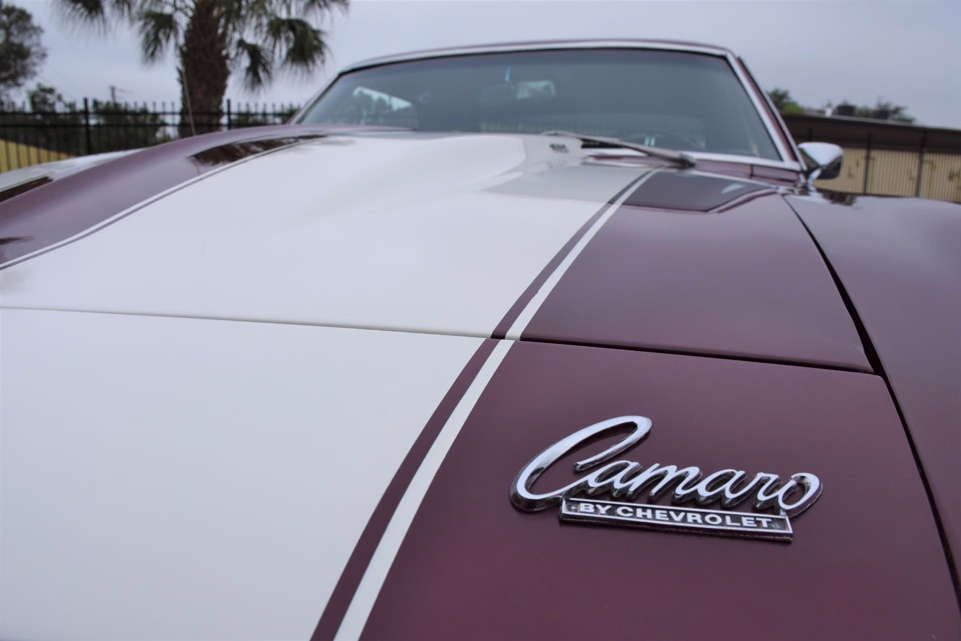 1969 Burgundy Chevrolet Camaro Z/28