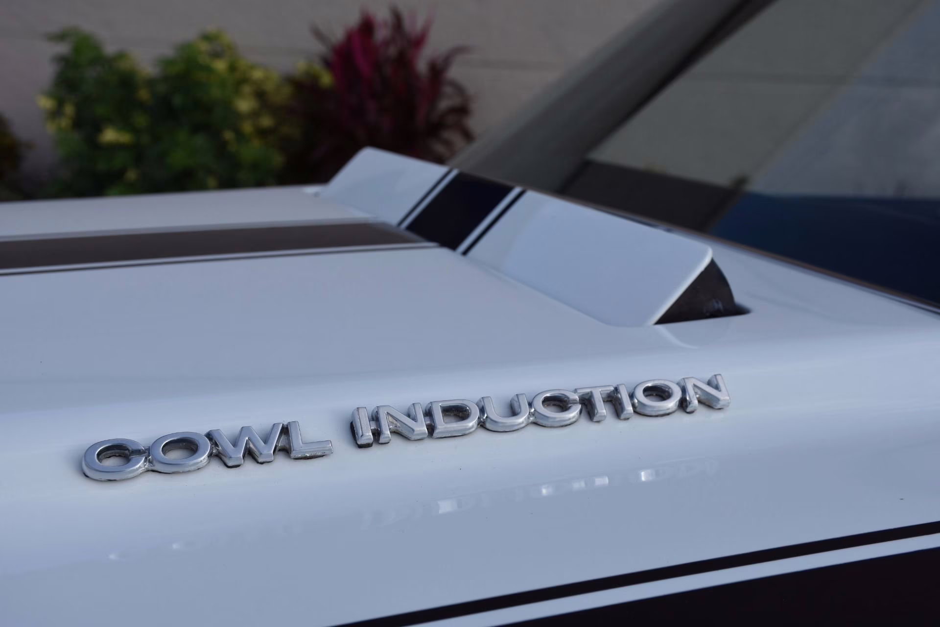 1970 Dark Blue Chevrolet Chevelle