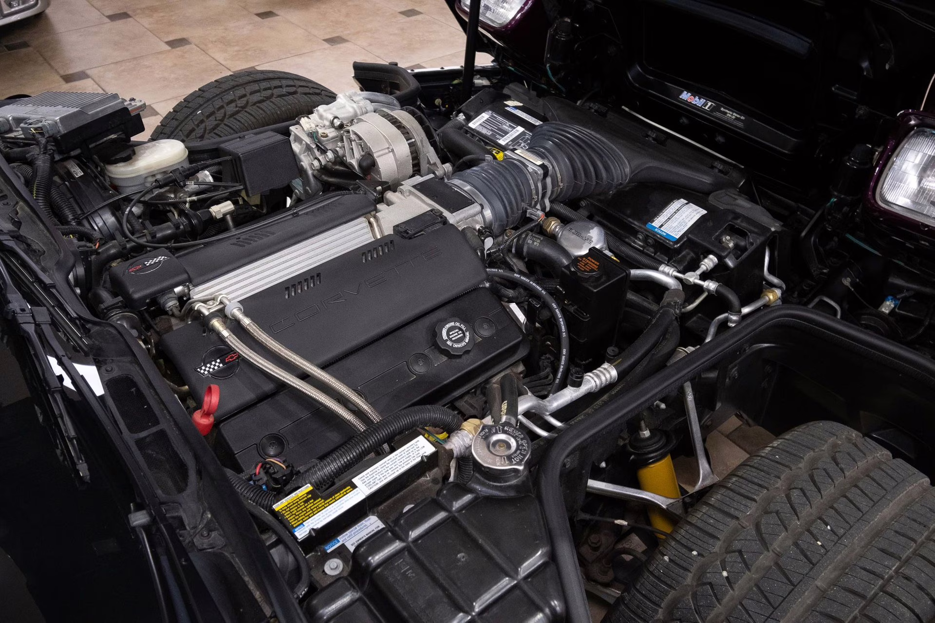 1995 Purple/White/Red Chevrolet Corvette