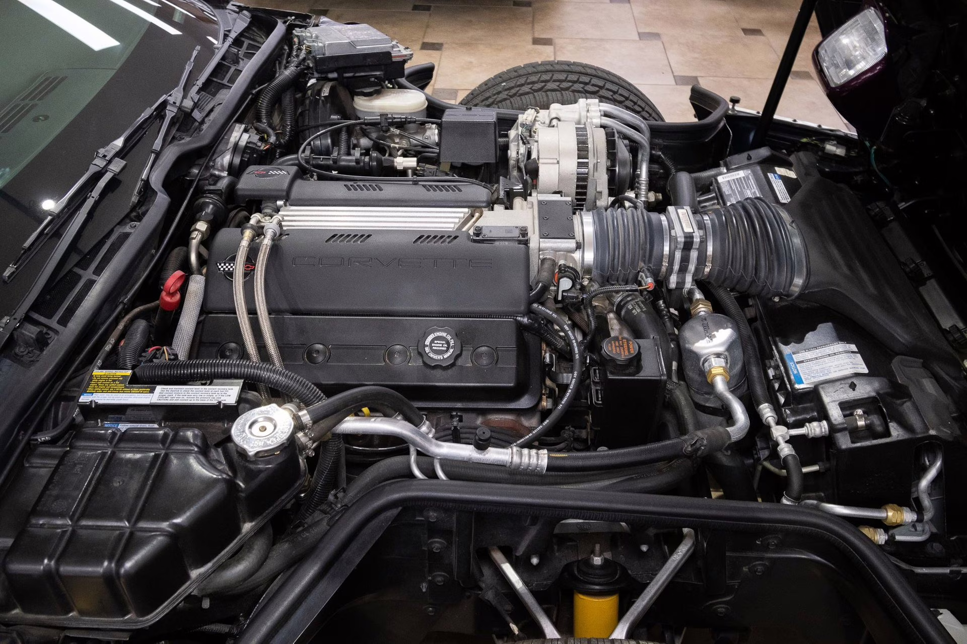 1995 Purple/White/Red Chevrolet Corvette
