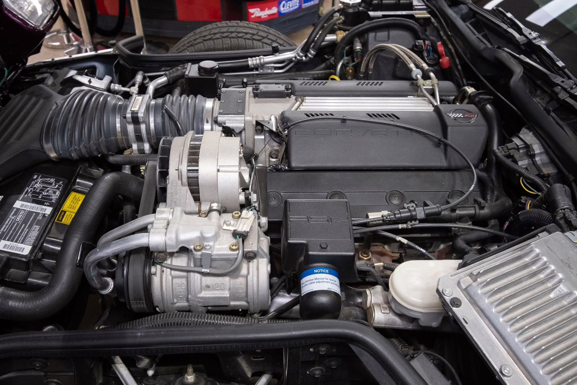 1995 Purple/White/Red Chevrolet Corvette