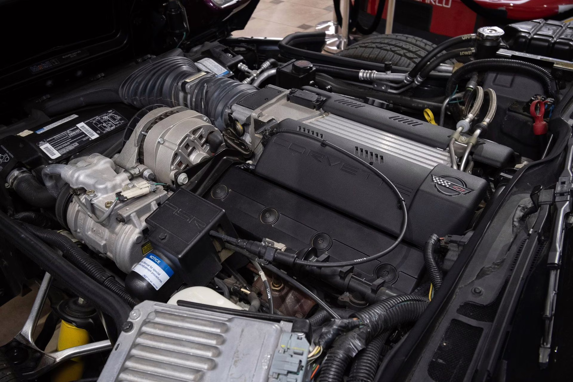 1995 Purple/White/Red Chevrolet Corvette