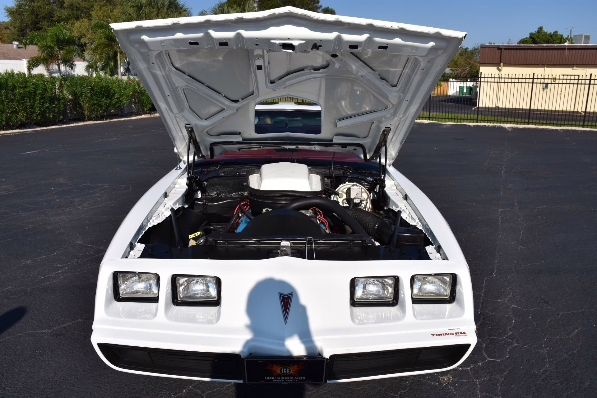 1979 Cameo White Pontiac Firebird
