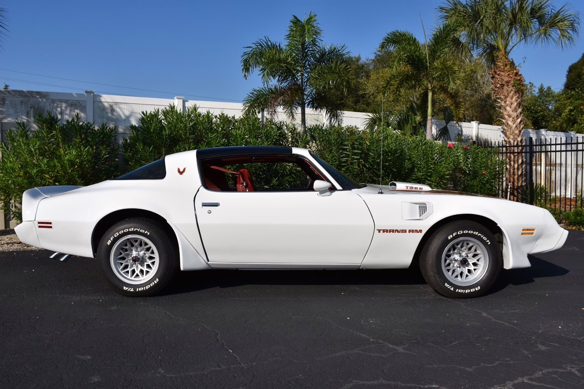 1979 Cameo White Pontiac Firebird