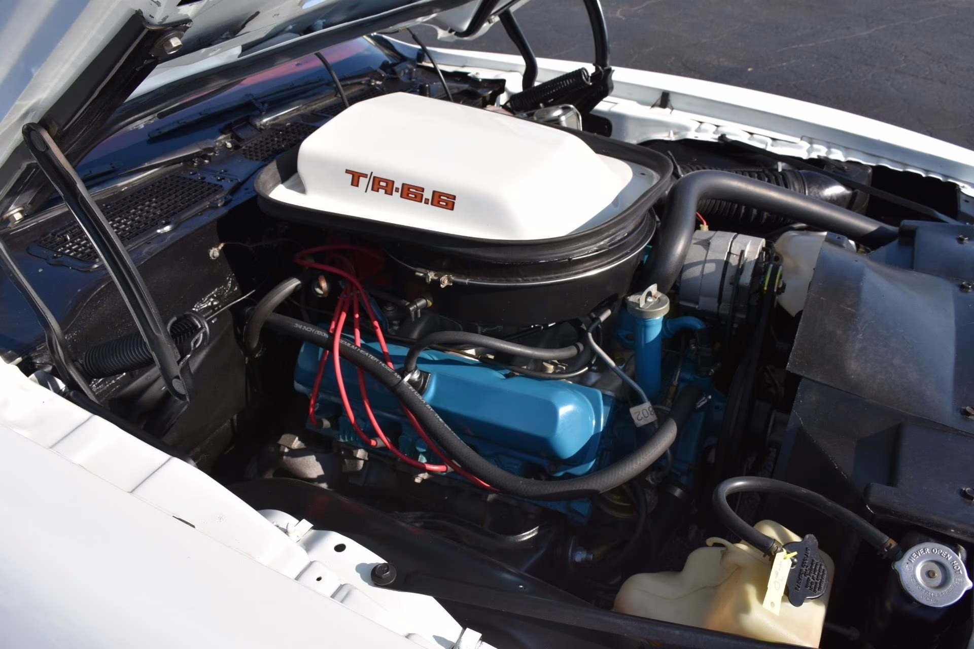1979 Cameo White Pontiac Firebird