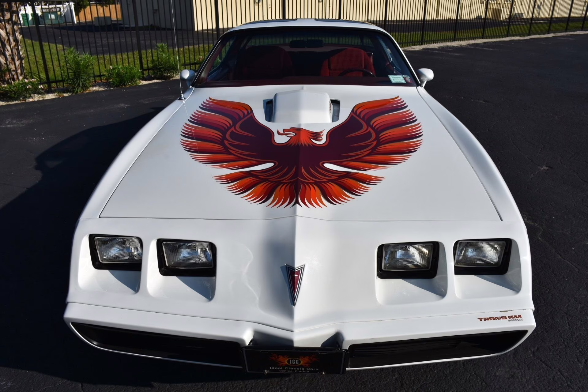 1979 Cameo White Pontiac Firebird