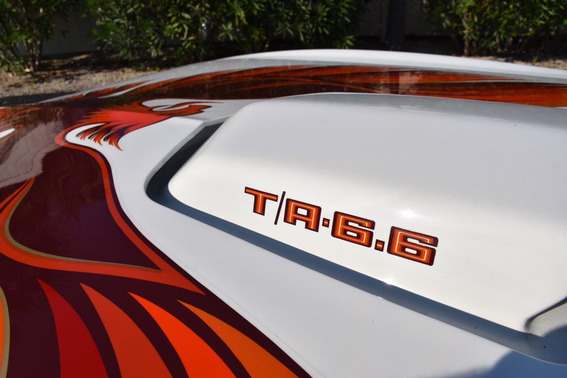 1979 Cameo White Pontiac Firebird