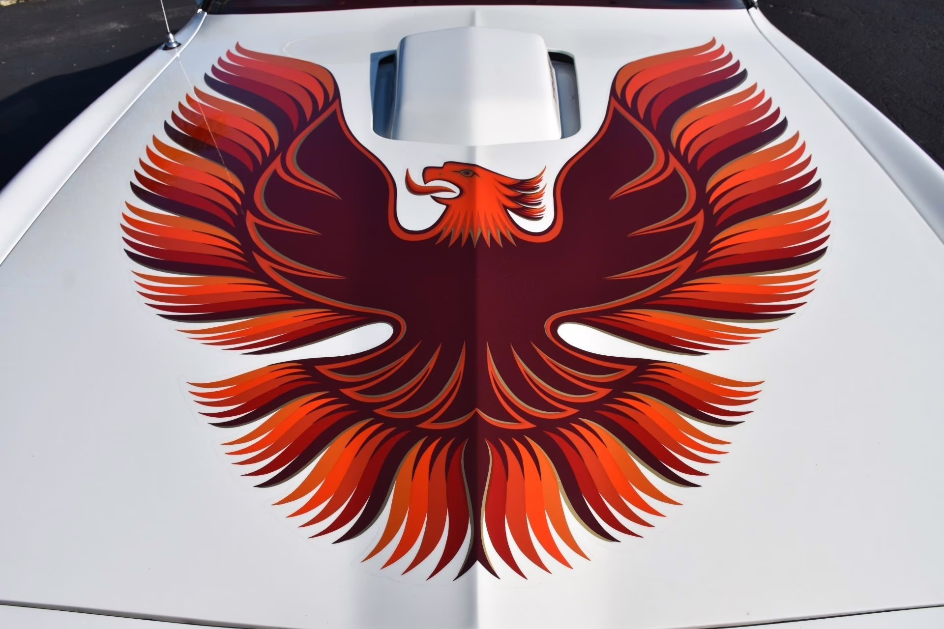 1979 Cameo White Pontiac Firebird