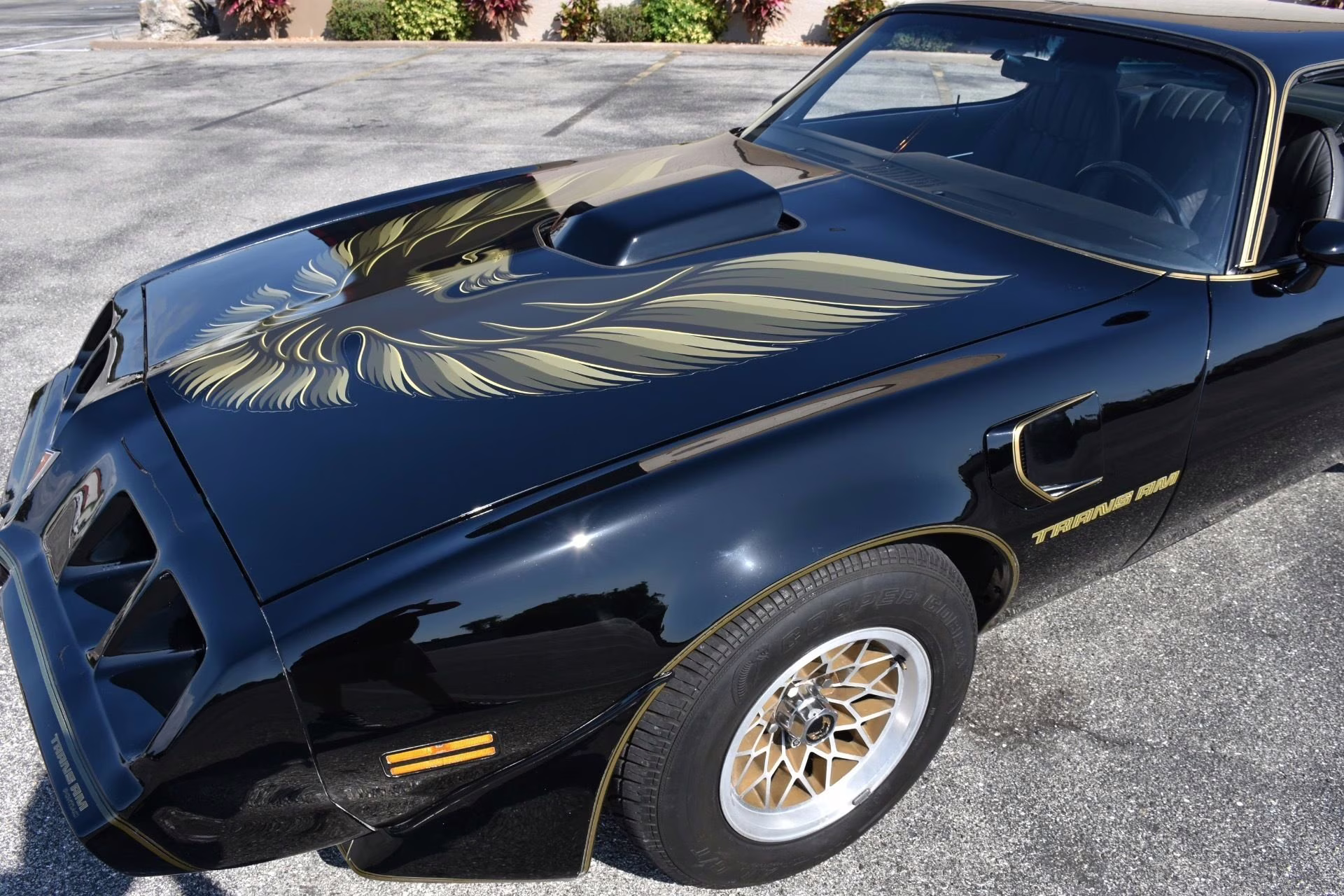 1979 Black Pontiac Firebird Coupe