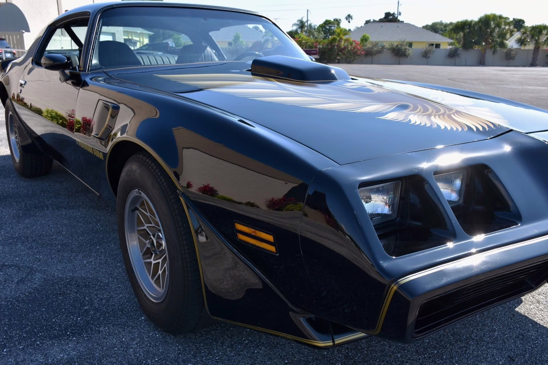 1979 Black Pontiac Firebird Coupe