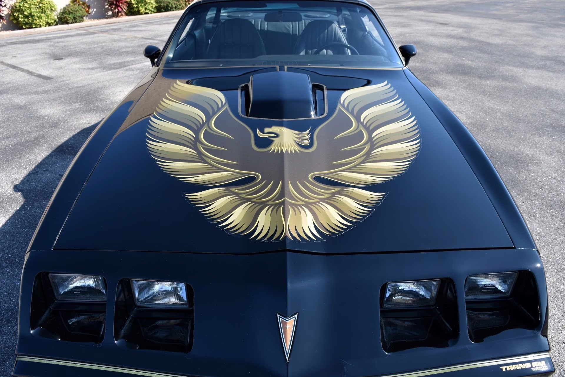 1979 Black Pontiac Firebird Coupe