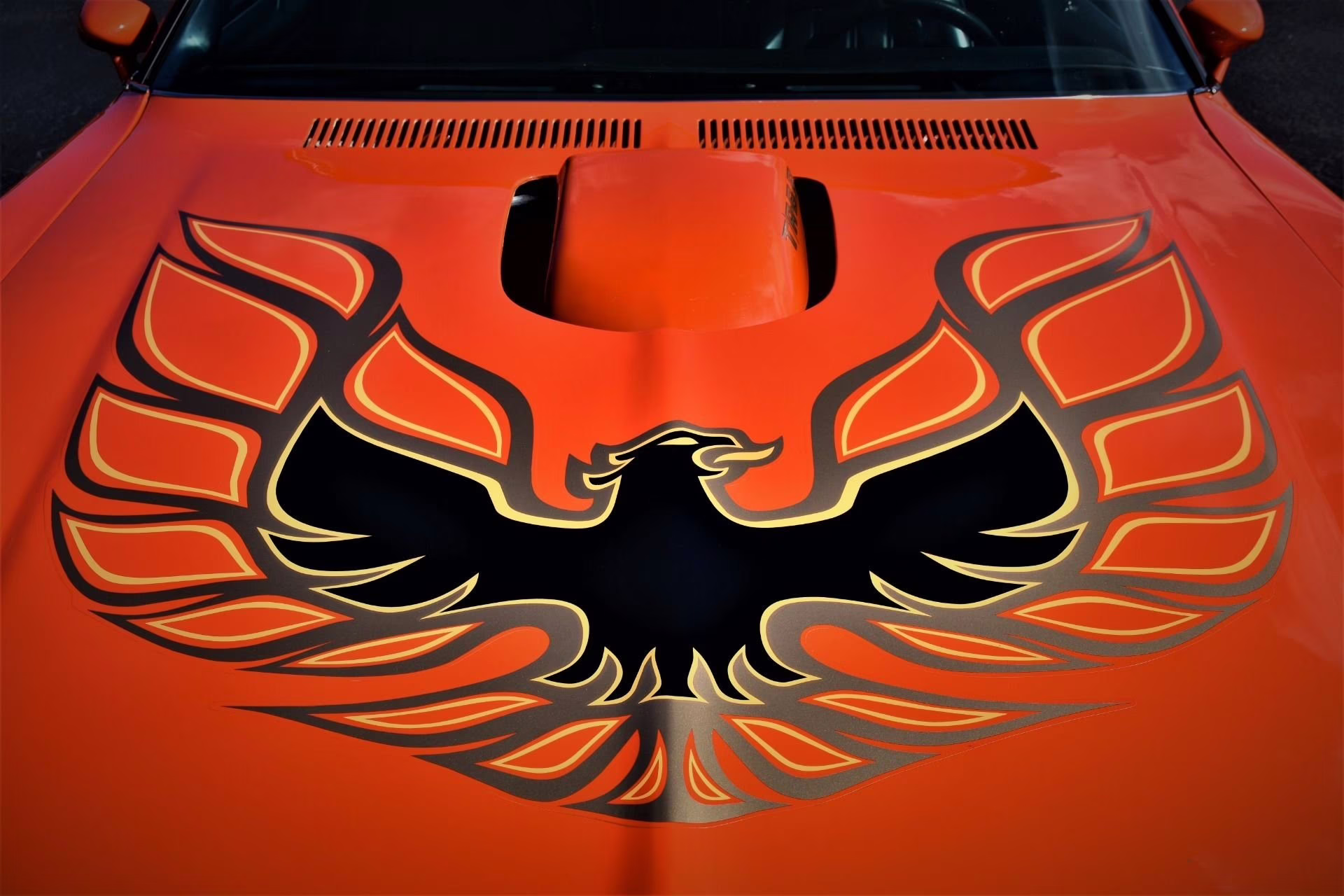 1976 Carousel Red Pontiac Firebird