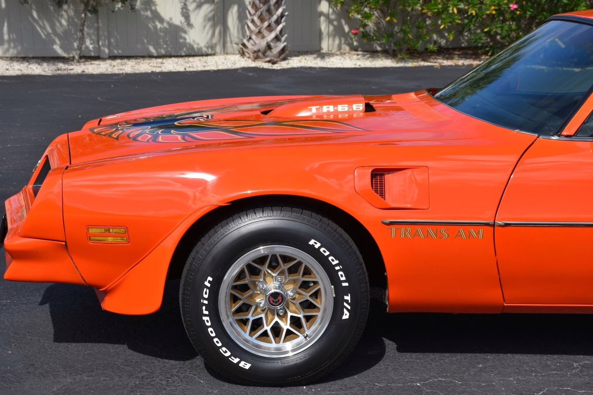 1976 Carousel Red Pontiac Firebird
