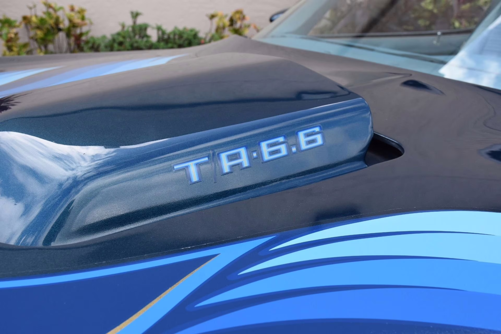 1979 Nocturne Blue Pontiac Firebird Coupe