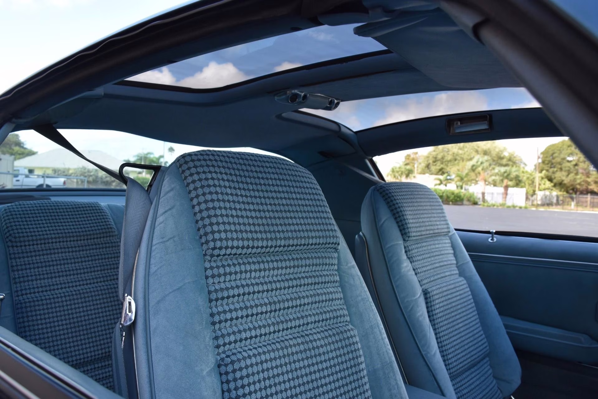 1979 Nocturne Blue Pontiac Firebird Coupe