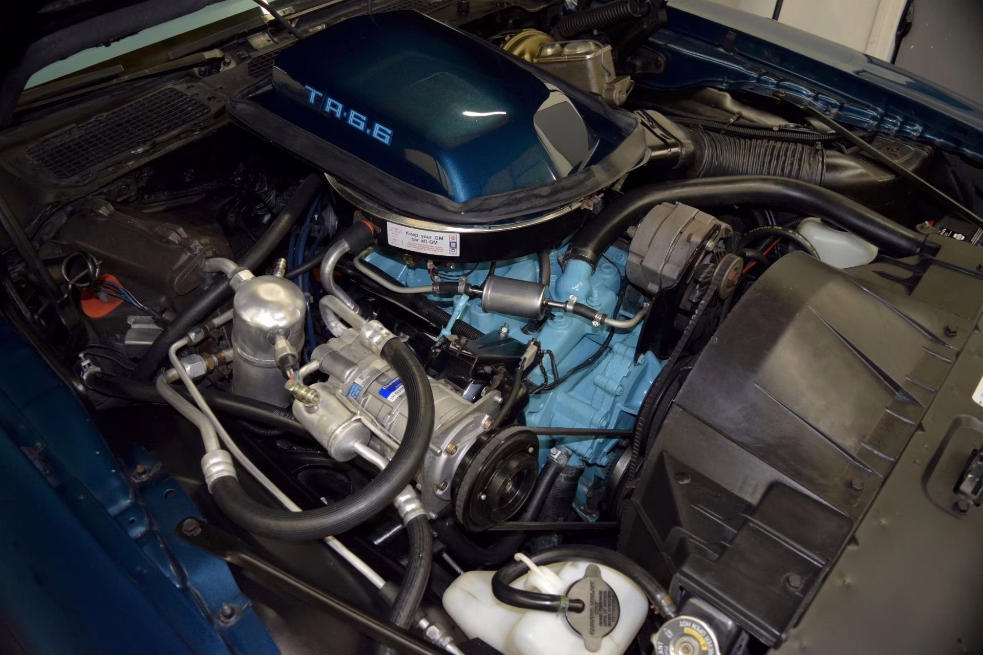 1979 Nocturne Blue Pontiac Firebird Coupe