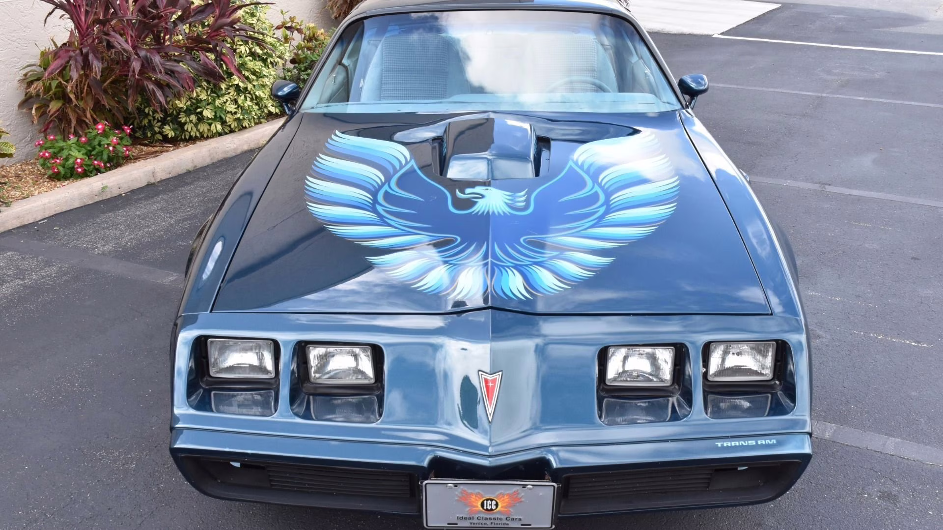 1979 Nocturne Blue Pontiac Firebird Coupe