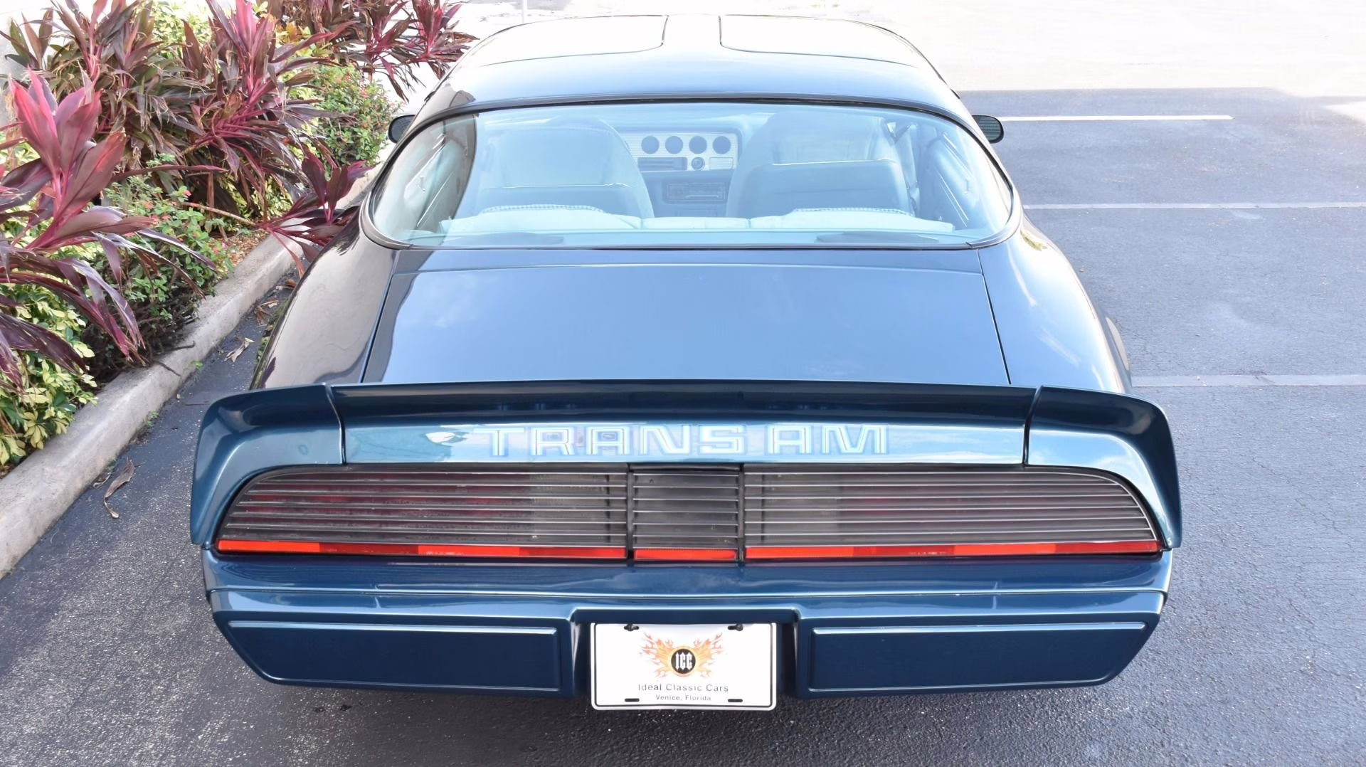 1979 Nocturne Blue Pontiac Firebird Coupe