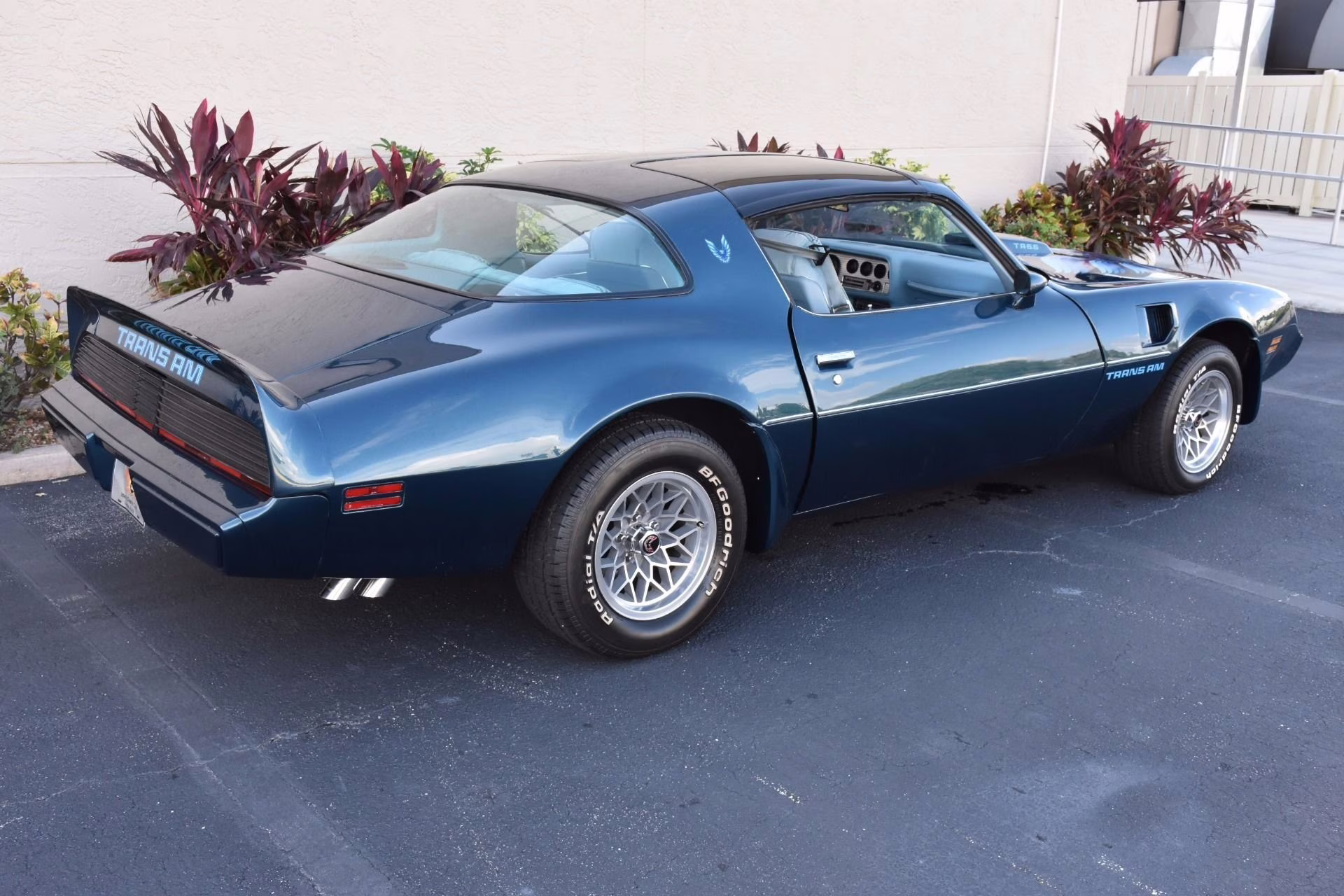 1979 Nocturne Blue Pontiac Firebird Coupe