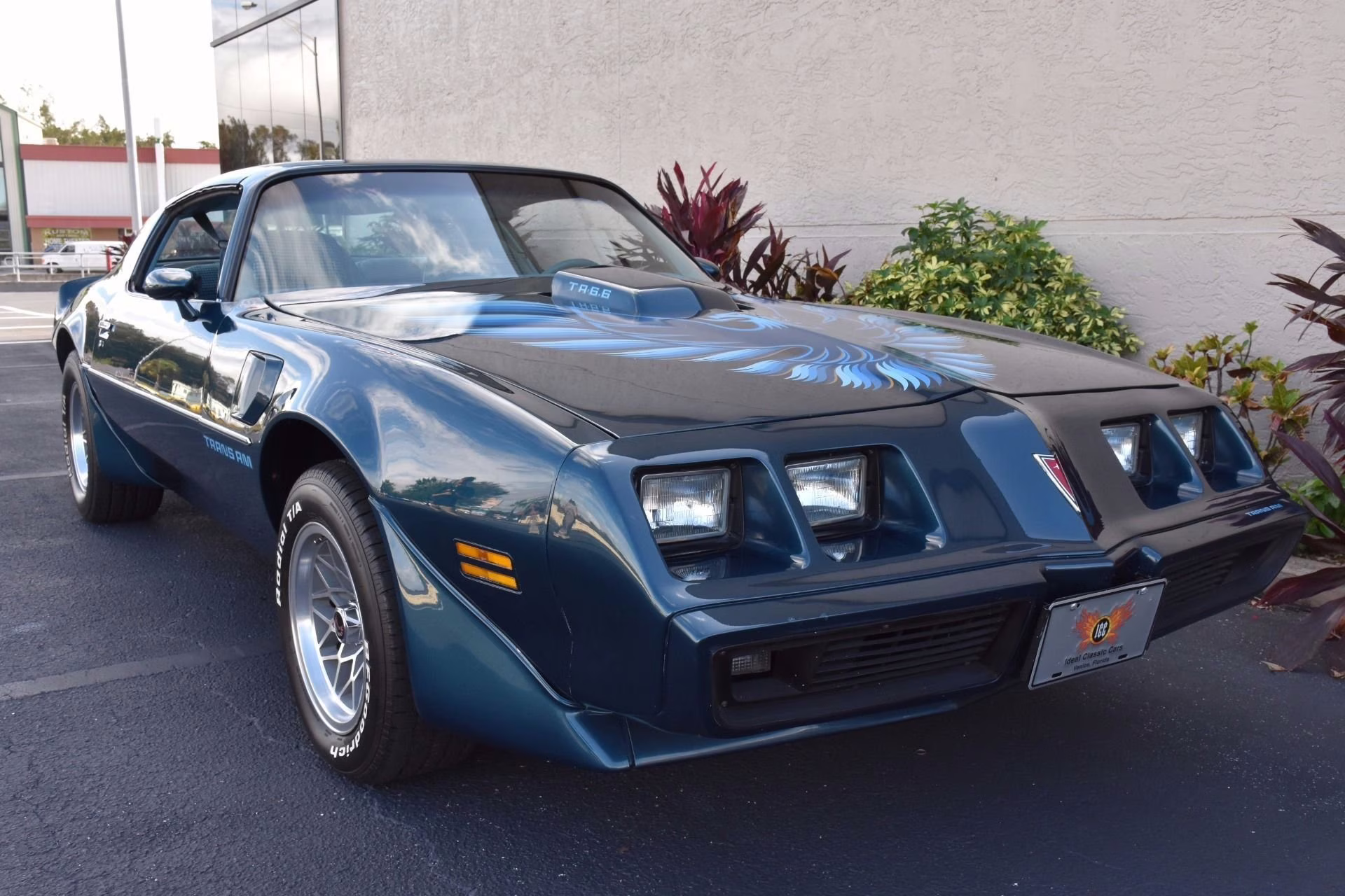 1979 Nocturne Blue Pontiac Firebird Coupe
