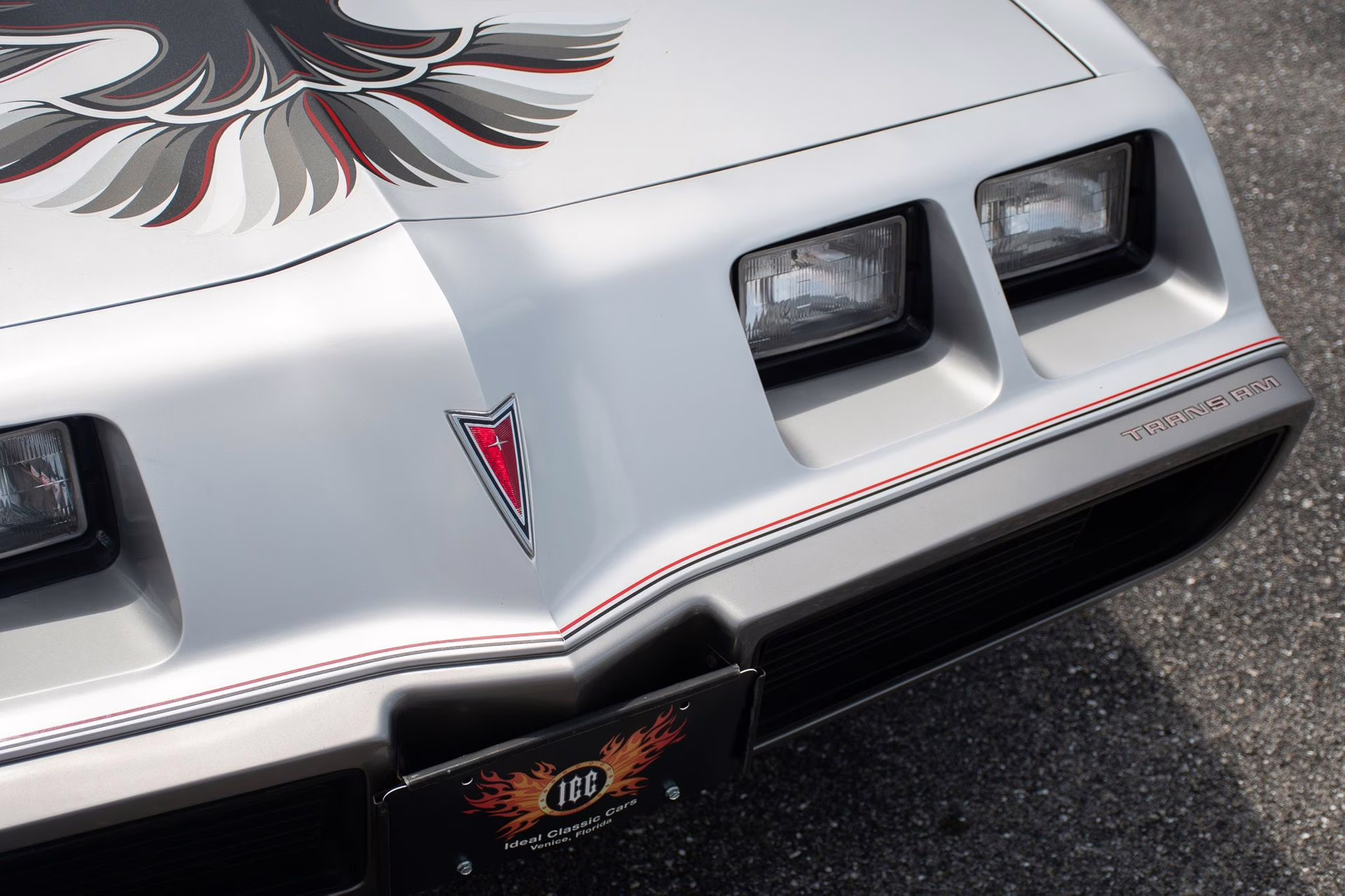 1979 Platinum Pontiac Firebird