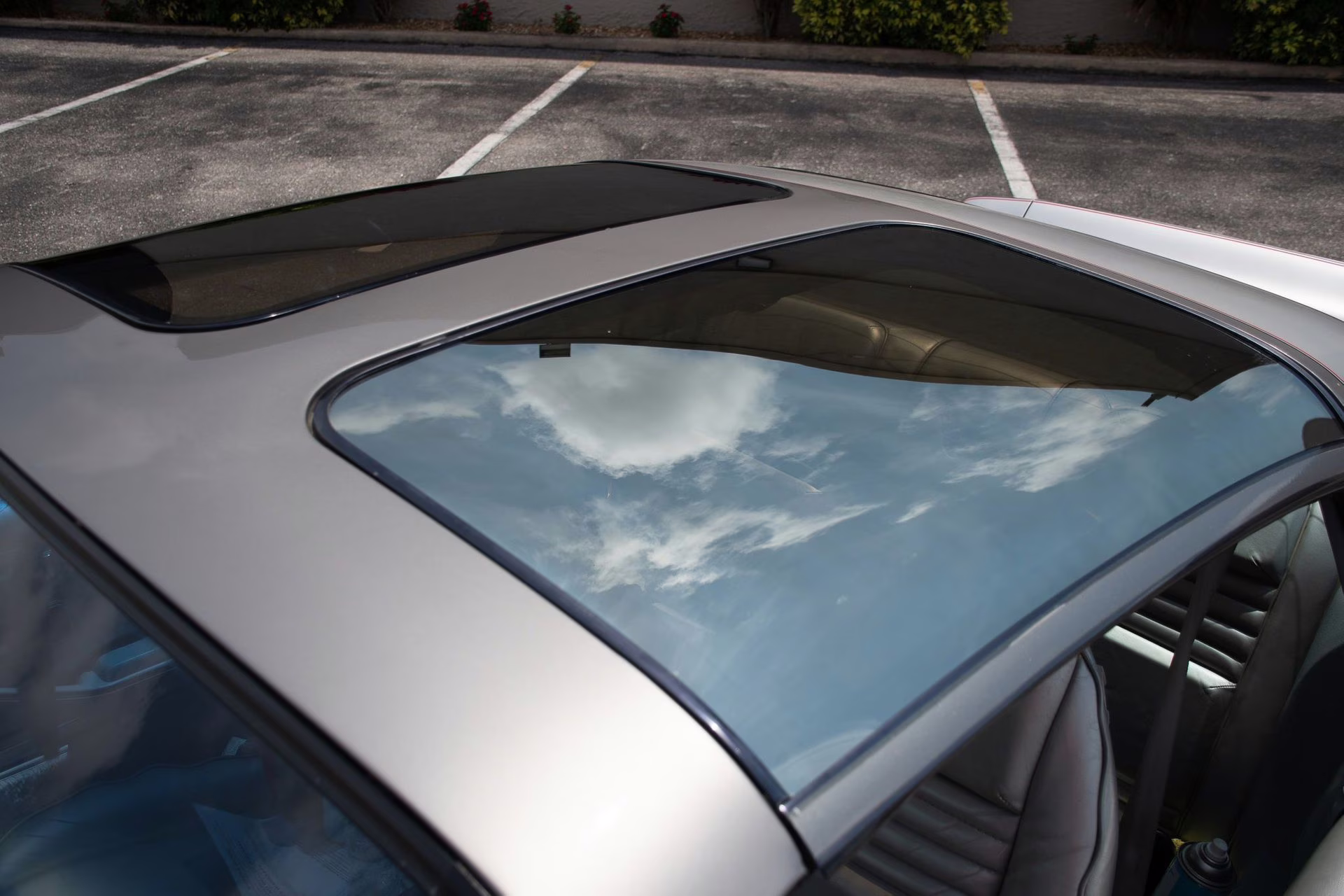 1979 Platinum Pontiac Firebird