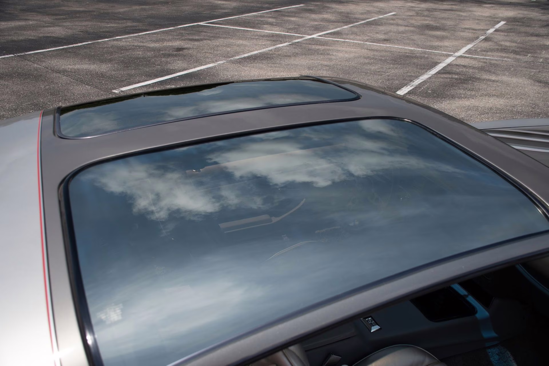 1979 Platinum Pontiac Firebird