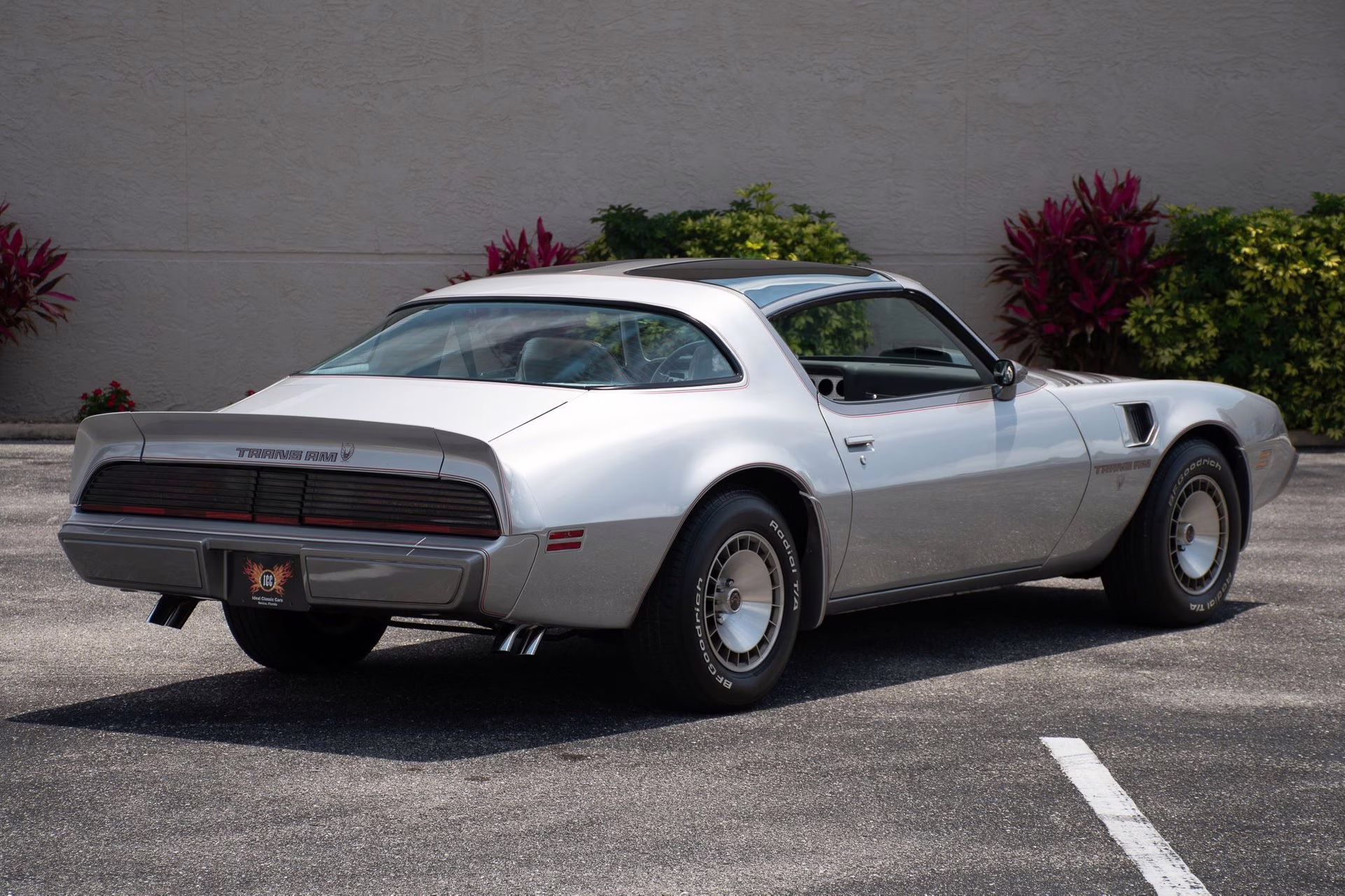 1979 Platinum Pontiac Firebird