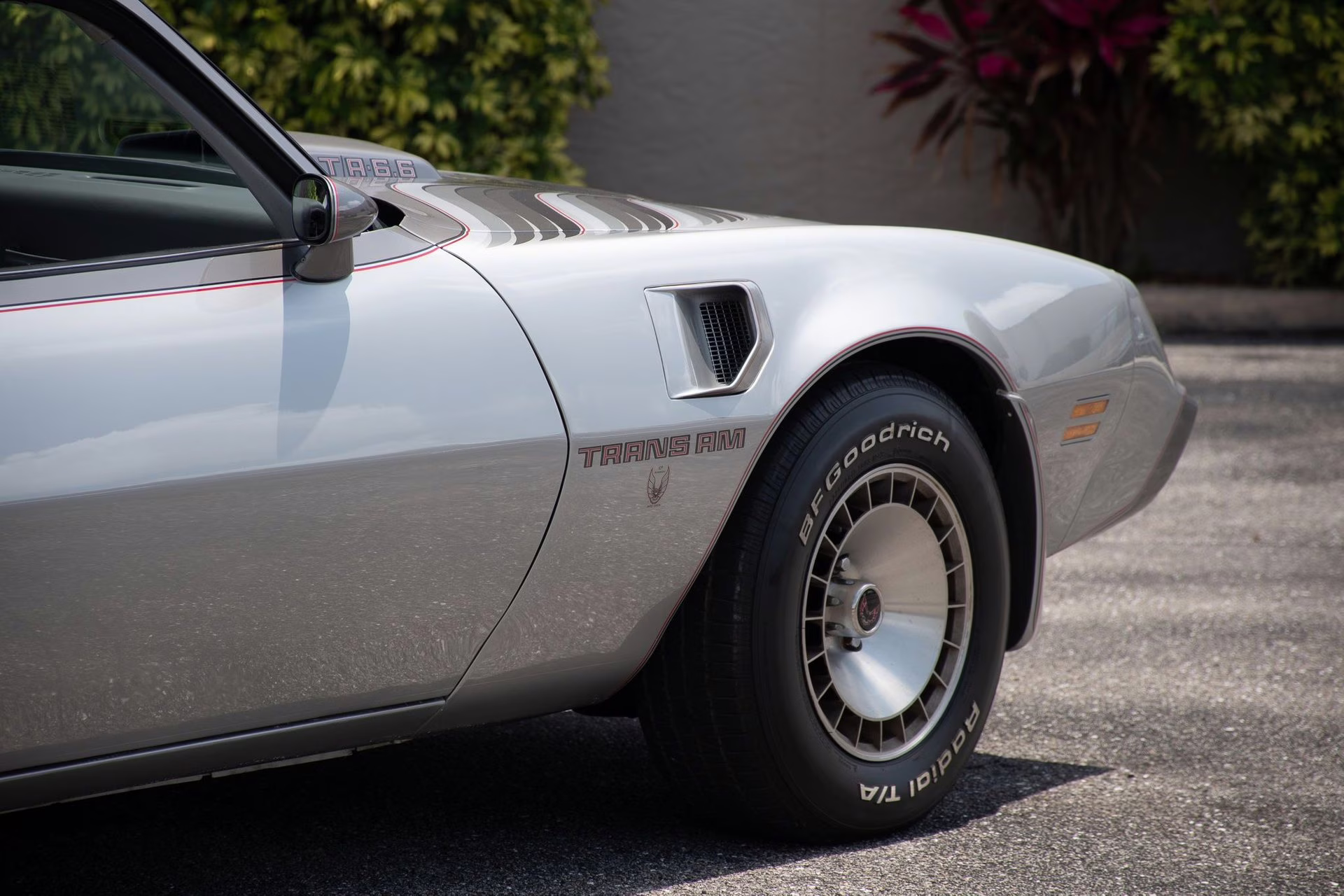 1979 Platinum Pontiac Firebird