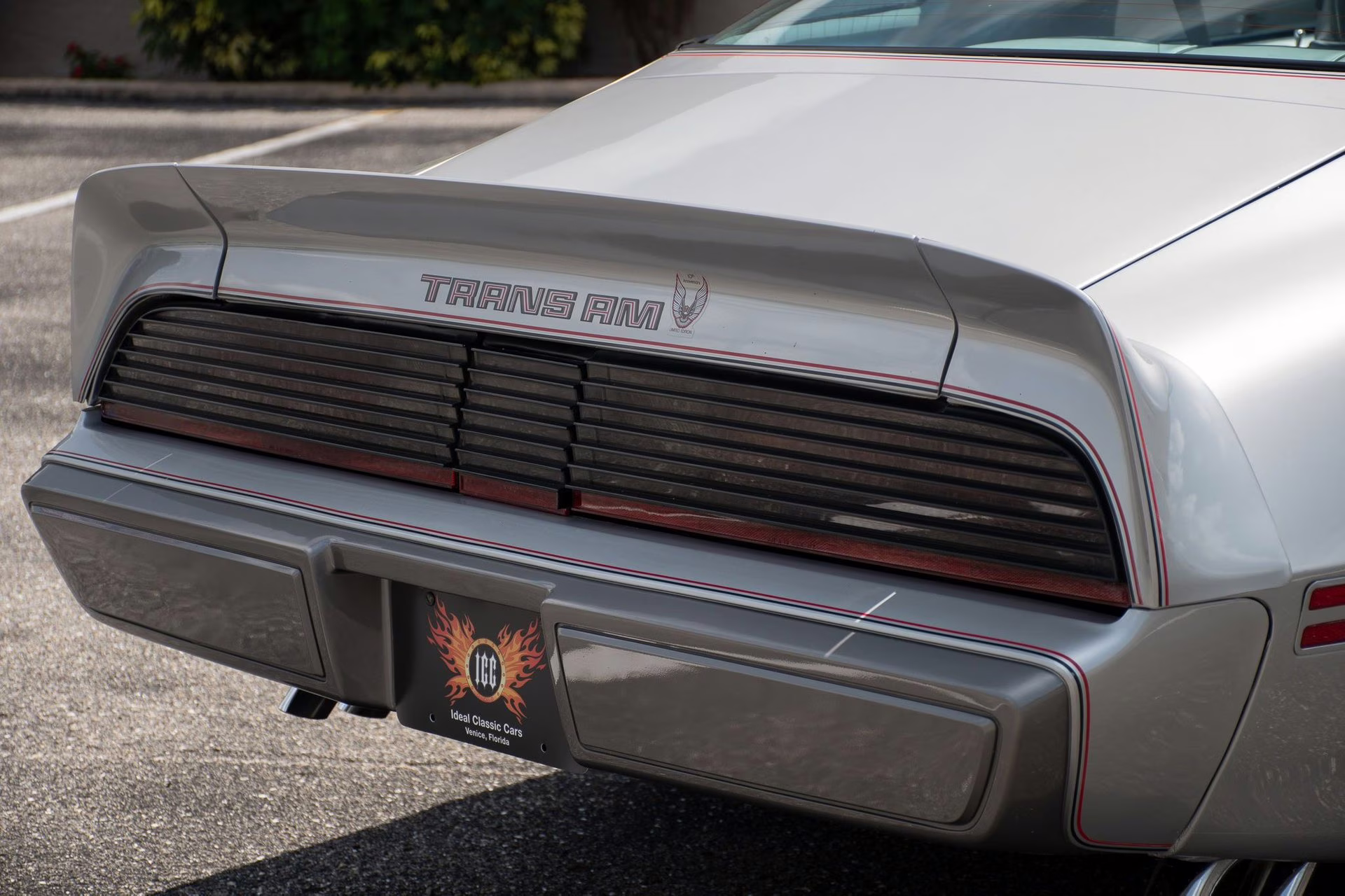 1979 Platinum Pontiac Firebird