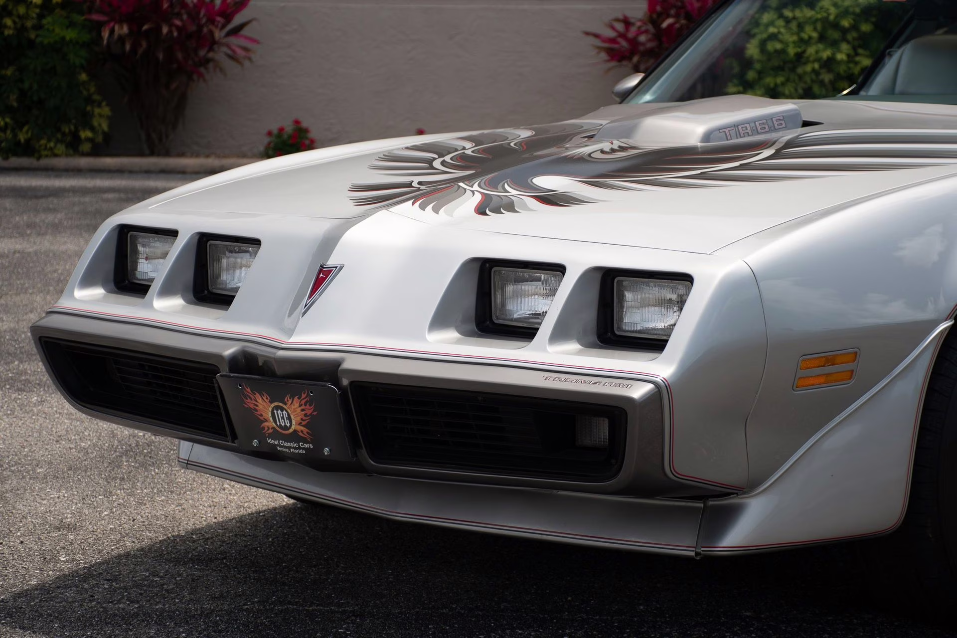 1979 Platinum Pontiac Firebird