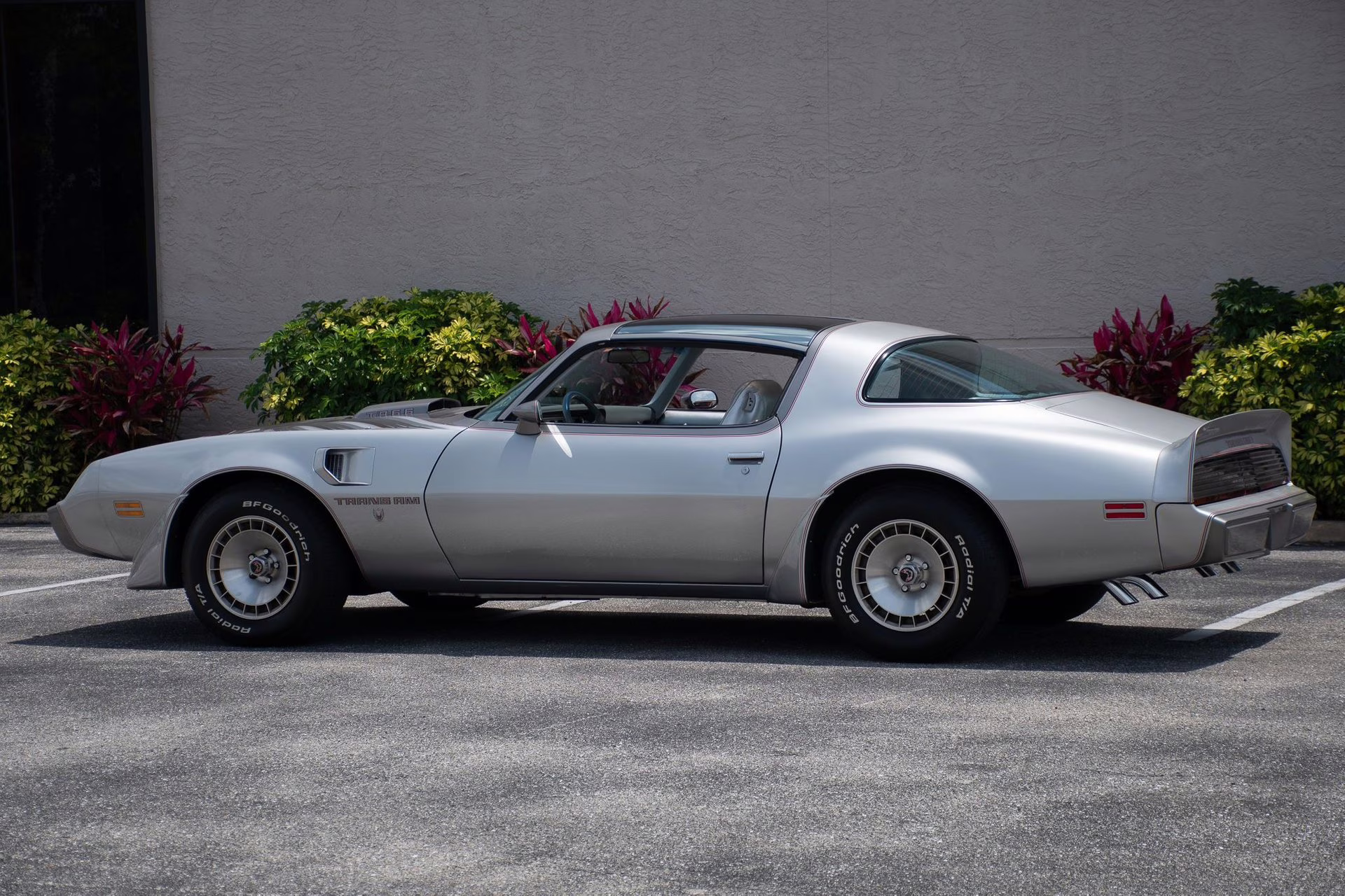 1979 Platinum Pontiac Firebird