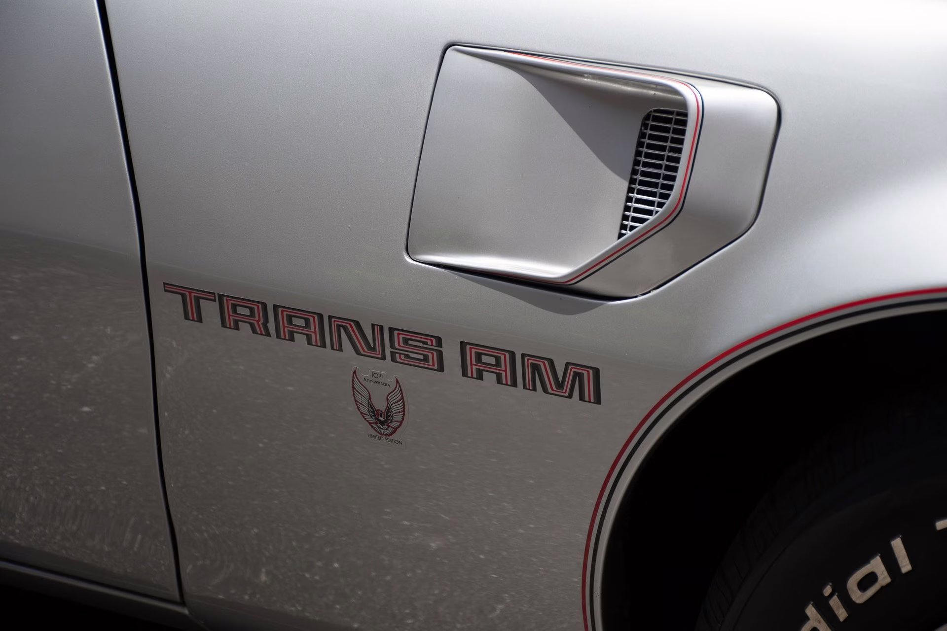 1979 Platinum Pontiac Firebird