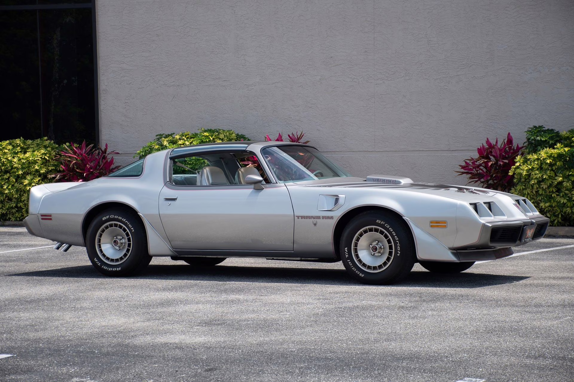 1979 Platinum Pontiac Firebird