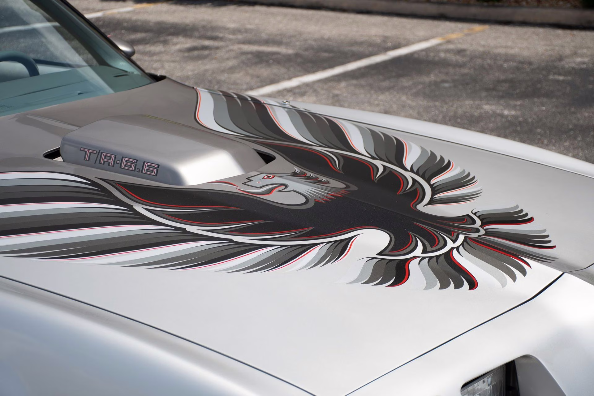 1979 Platinum Pontiac Firebird