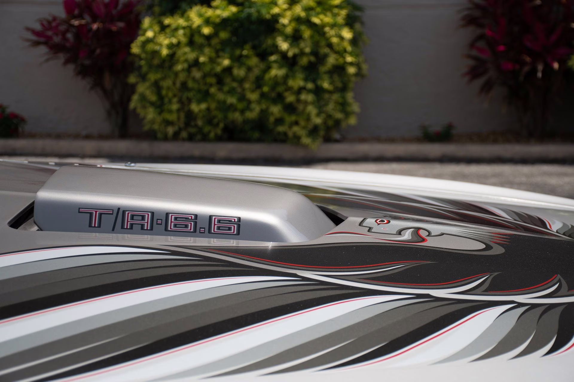 1979 Platinum Pontiac Firebird