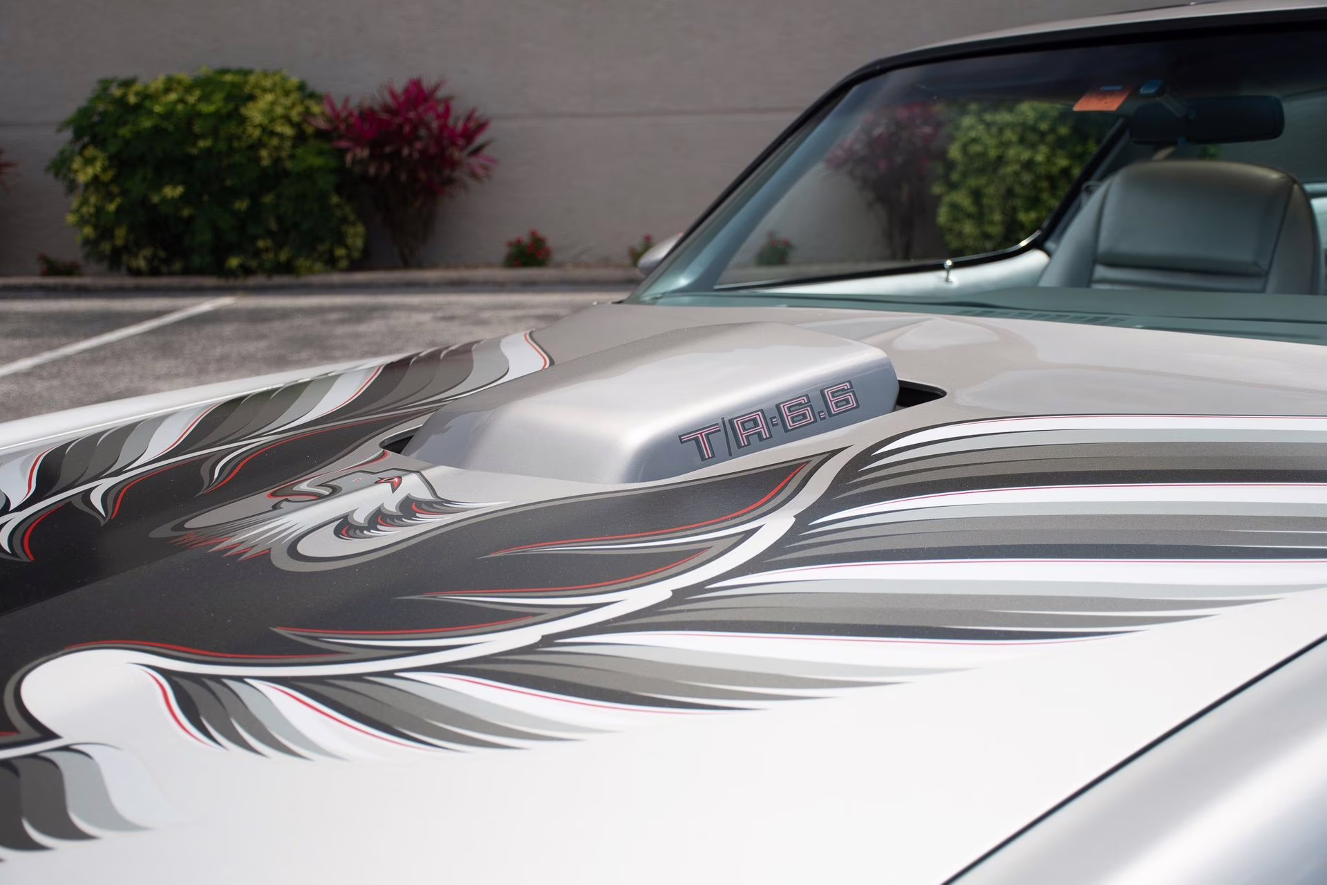 1979 Platinum Pontiac Firebird