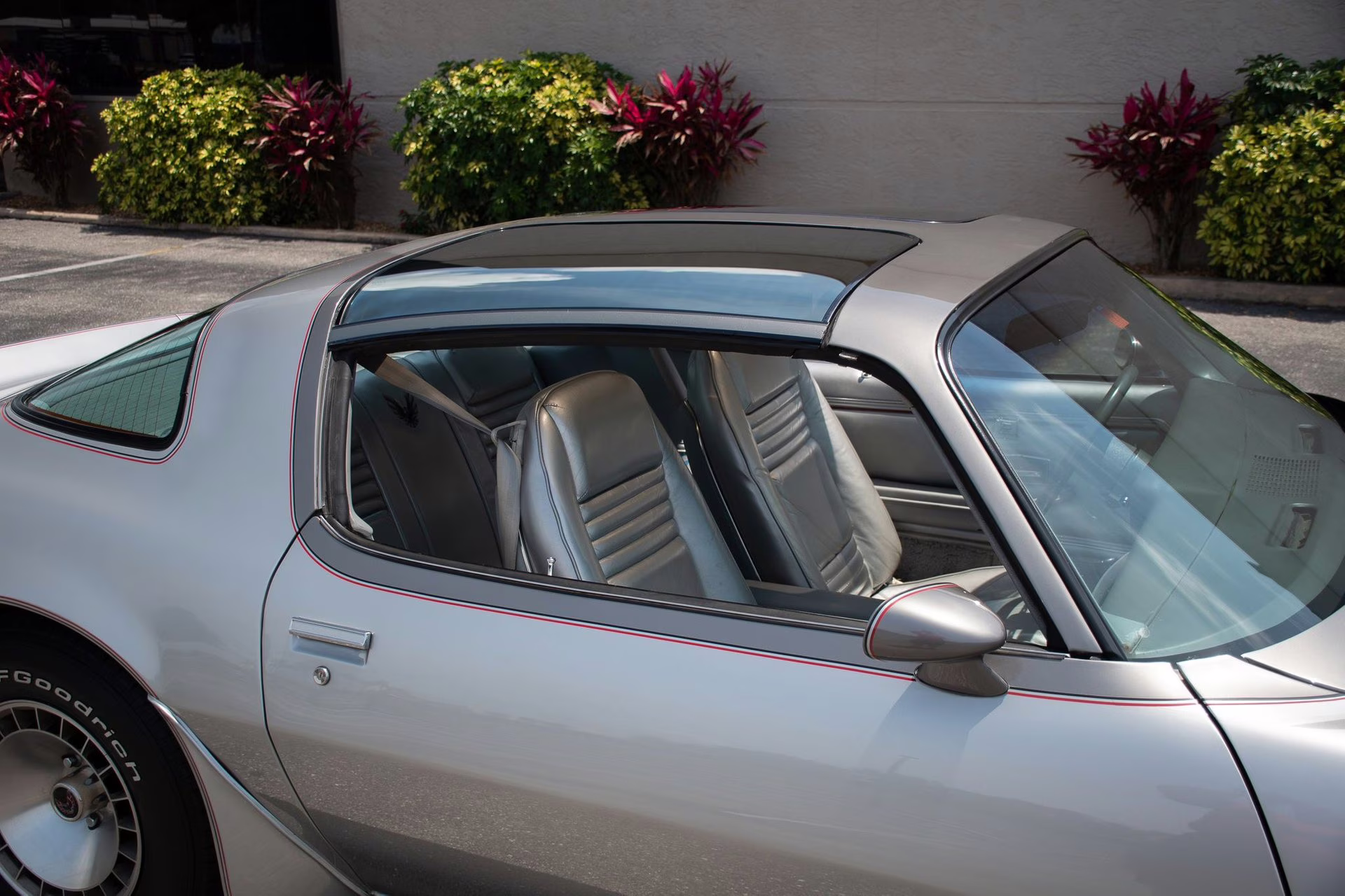 1979 Platinum Pontiac Firebird