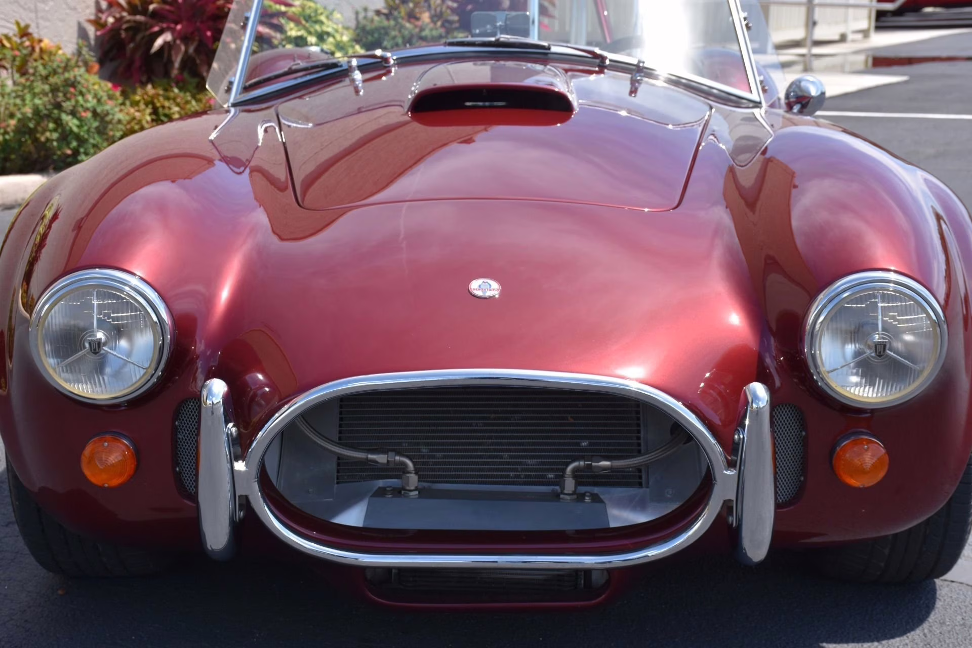 1967 Burgundy Shelby Cobra E.R.A.