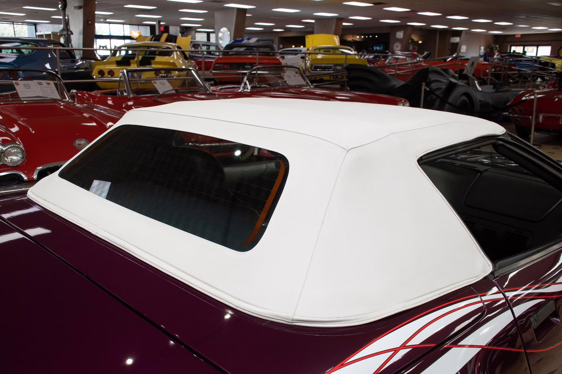 1995 Purple/White/Red Chevrolet Corvette