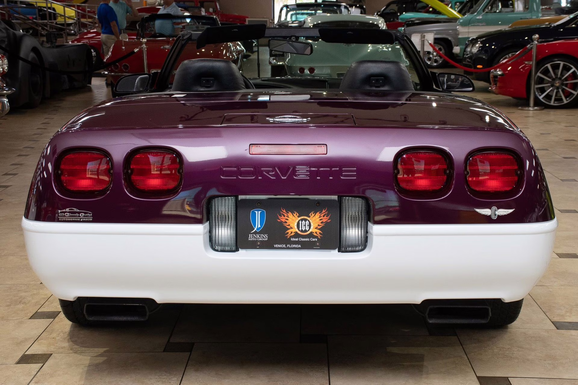 1995 Purple/White/Red Chevrolet Corvette