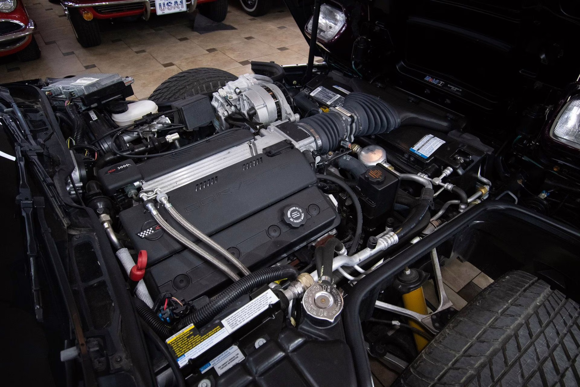 1995 Purple/White/Red Chevrolet Corvette
