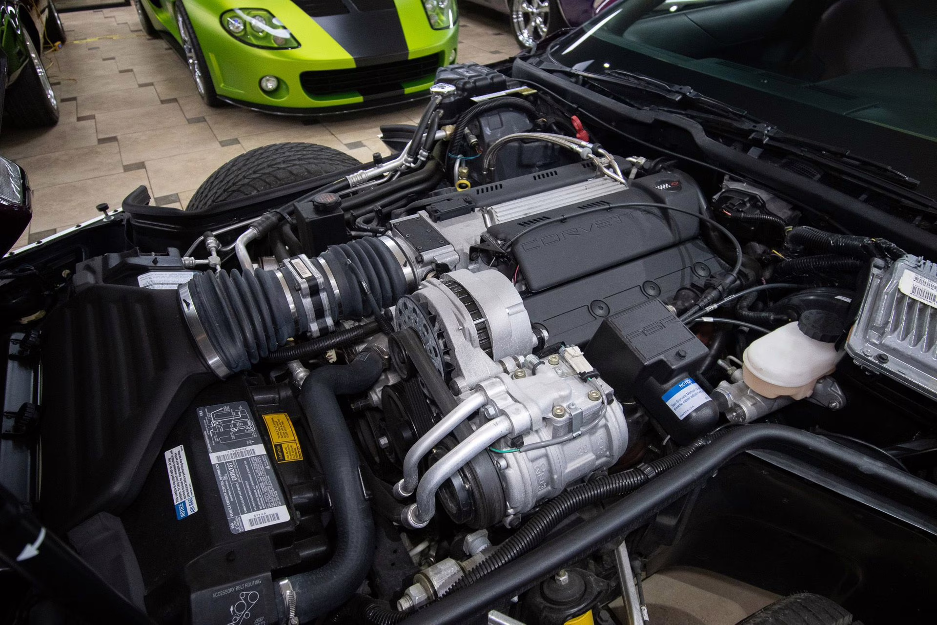 1995 Purple/White/Red Chevrolet Corvette